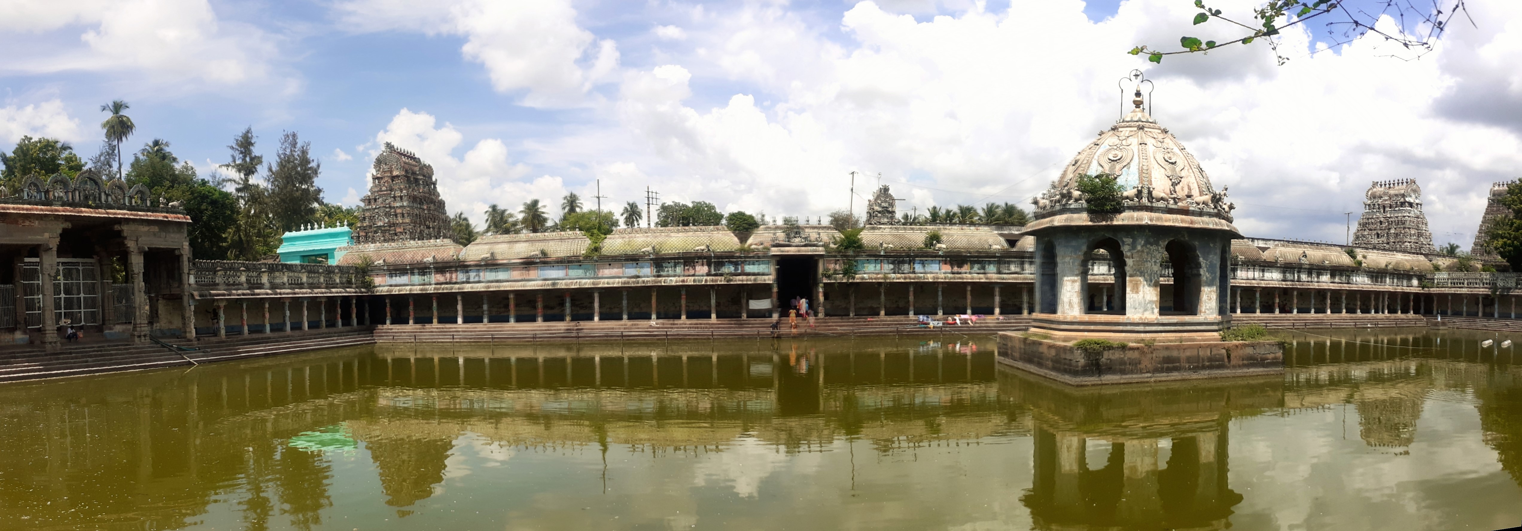 Vaidyanathar Temple - Health Problems